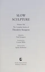 Cover of Slow sculpture