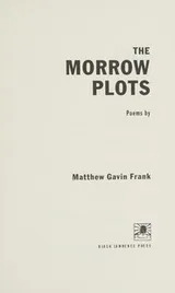 Cover of The Morrow plots