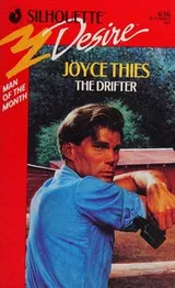 Cover of The drifter