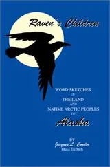 Cover of Raven's Children