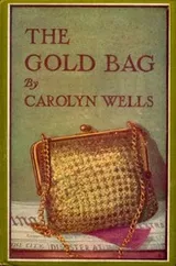 Cover of The Gold Bag