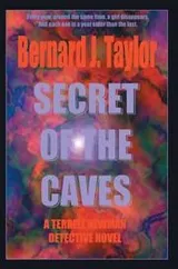 Cover of Secret of the Caves