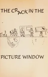 Cover of The crack in the picture window
