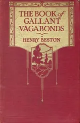 Cover of The book of gallant vagabonds
