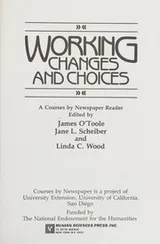 Cover of Working, changes and choices
