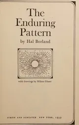Cover of The enduring pattern