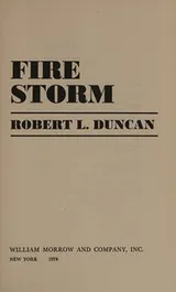 Cover of Fire storm