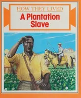 Cover of Plantation Slave How They Lived