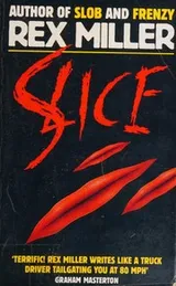 Cover of Slice