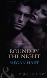 Cover of Bound by the Night