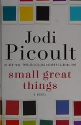 Cover of Small great things