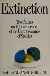 Cover of Extinction