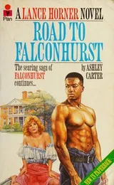 Cover of Road to Falconhurst