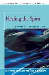Cover of Healing the Spirit