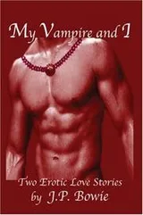 Cover of My Vampire and I