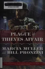 Cover of The plague of thieves affair