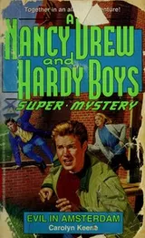 Cover of Evil in Amsterdam