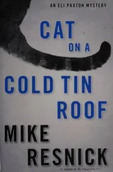 Cover of Cat on a cold tin roof