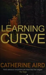 Cover of Learning Curve