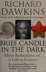 Cover of Brief Candle in the Dark