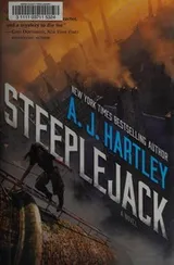 Cover of Steeplejack