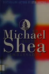 Cover of The British ambassador