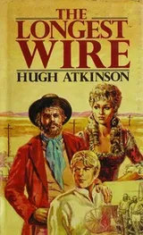 Cover of The Longest Wire