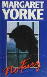 Cover of No fury