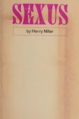 Cover of Sexus