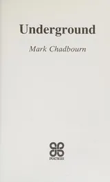 Cover of The Underground