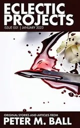 Cover of Eclectic Projects 001