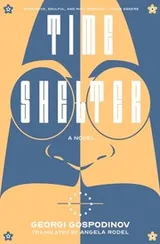 Cover of Time Shelter - a Novel