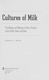Cover of Cultures of Milk