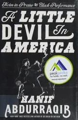 Cover of A Little Devil in America