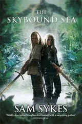 Cover of Skybound Sea