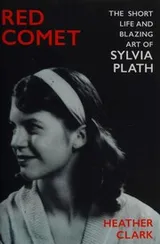 Cover of Red Comet