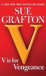 Cover of V Is for Vengeance