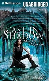 Cover of Cast in Shadow
