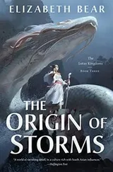 Cover of Origin of Storms