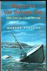Cover of Survive the savage sea