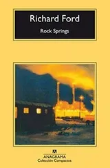 Cover of Rock Springs