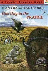 Cover of One Day in the Prairie