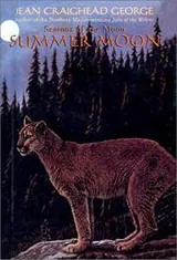 Cover of Summer Moon (Seasons of the Moon)