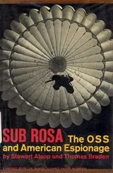 Cover of Sub rosa