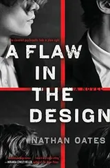 Cover of Flaw in the Design