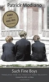 Cover of Such fine boys