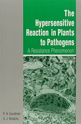 Cover of The hypersensitive reaction in plants to pathogens