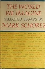 Cover of World we imagine