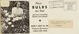 Cover of Plant . . bulbs this fall and have beautiful blooms next spring