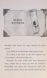 Cover of Blind witness